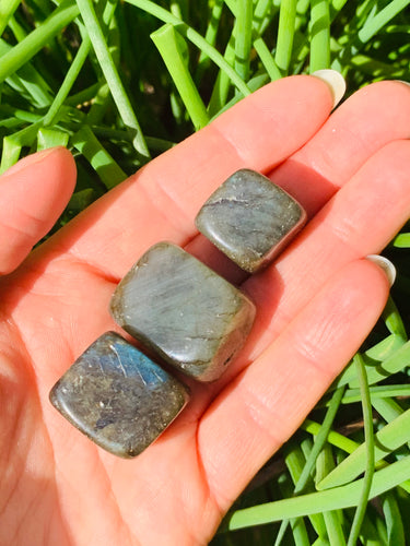 Labradorite Tumble Stones - Dragon Mama Crystals 
