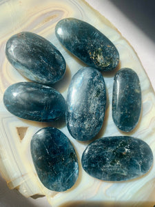AA Grade Blue Kyanite Palm Stones with FLASH - Dragon Mama Crystals 