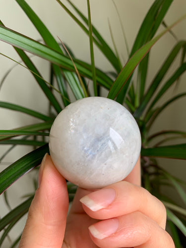 White Silk Moonstone Sphere - Dragon Mama Crystals 
