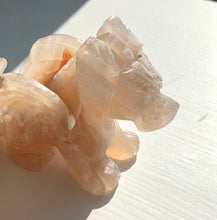 Load image into Gallery viewer, Flower Agate | Fae Dragon - Dragon Mama Crystals 