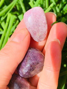 Lepidolite Tumble Stones - Dragon Mama Crystals 