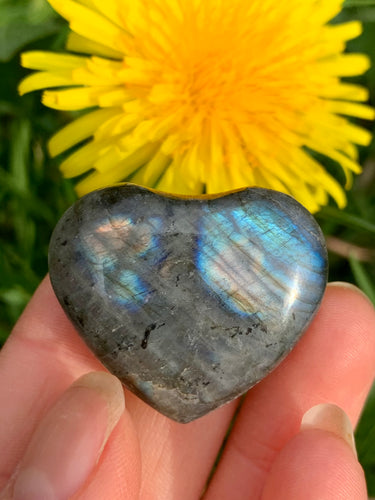 Labradorite Heart 08 - Dragon Mama Crystals 