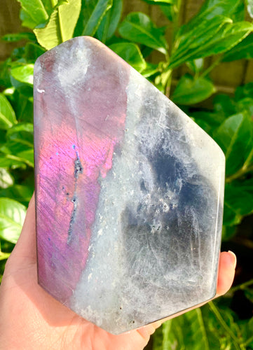 Rare Purple Labradorite Freeform High Grade - Dragon Mama Crystals 