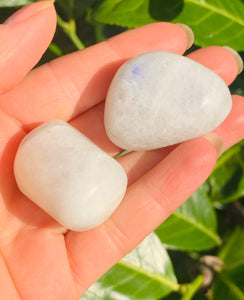 A Grade Moonstone Tumble Stones With Flash - Dragon Mama Crystals 
