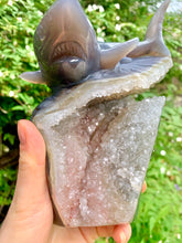 Load image into Gallery viewer, Agate Druzy Agate Shark Carving - Dragon Mama Crystals 