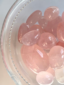 Gem Star Rose Quartz Tumble Stones - Dragon Mama Crystals 
