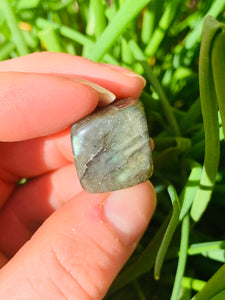 Labradorite Tumble Stones - Dragon Mama Crystals 