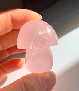 Star Rose Quartz Mushroom - Dragon Mama Crystals 