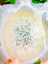Load image into Gallery viewer, Druzy Agate Crystal Turtle - Dragon Mama Crystals 