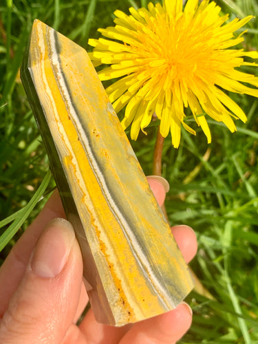 Bumble Bee Jasper Tower - Dragon Mama Crystals 