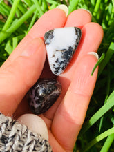 Load image into Gallery viewer, Zebra Jasper Tumble Stones - Dragon Mama Crystals 