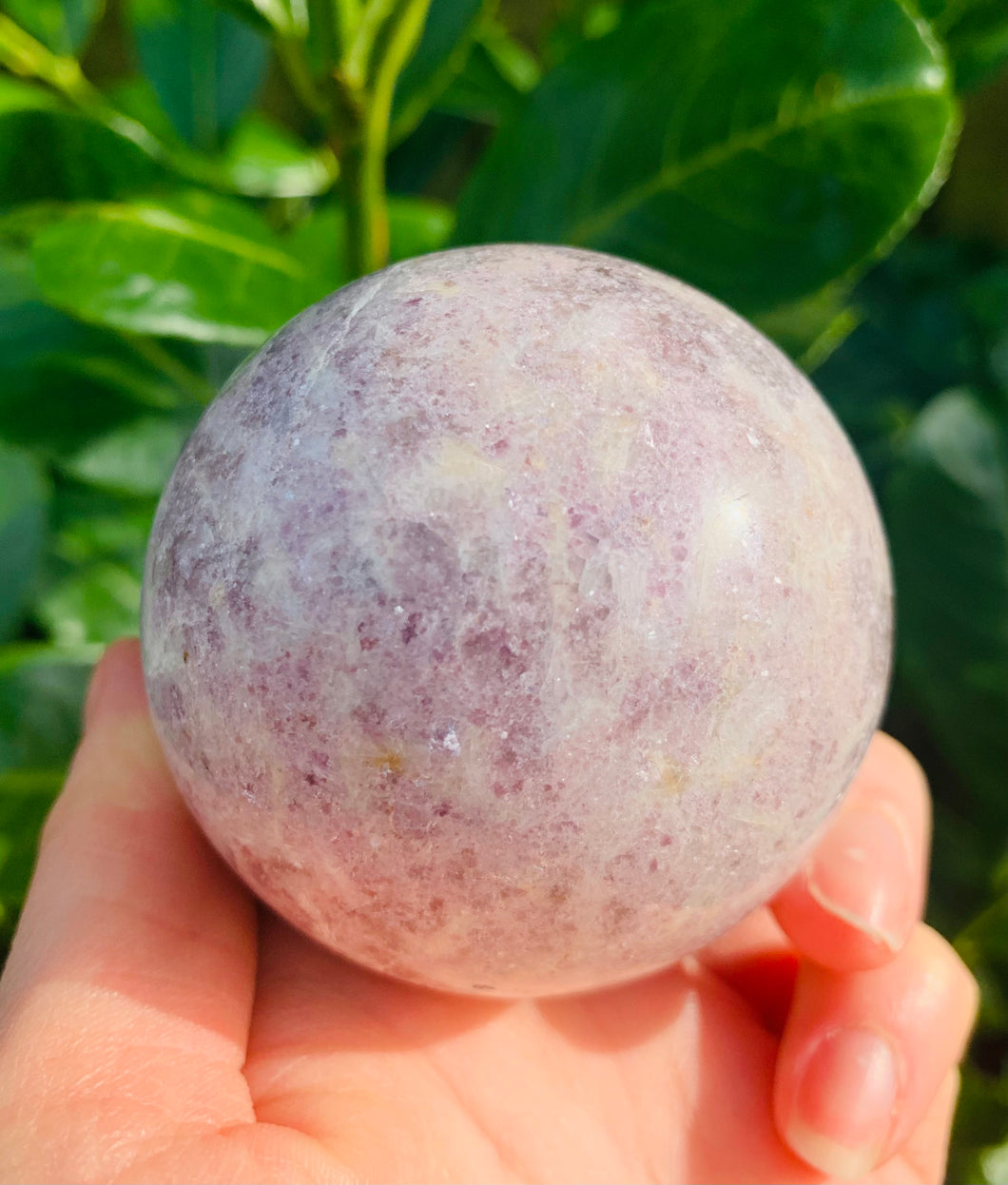 Lepidolite with Smokey Quartz Sphere High Grade - Dragon Mama Crystals 