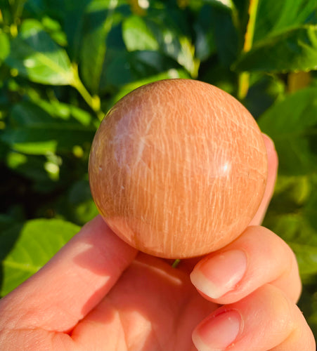 Peach Moonstone Spheres - Dragon Mama Crystals 