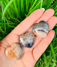 Load image into Gallery viewer, Snakeskin Banded Agate - Dragon Mama Crystals 
