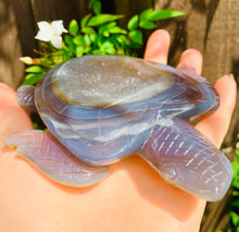 Load image into Gallery viewer, Crystal Agate Druzy Turtles - Dragon Mama Crystals 