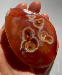 Carnelian PalmStone - Dragon Mama Crystals 