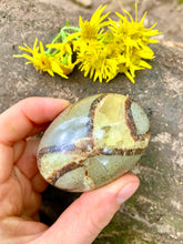 Load image into Gallery viewer, Septarian Crystal Palm Stones - Dragon Mama Crystals 