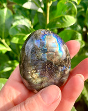 Load image into Gallery viewer, Labradorite Palm Stones B Grade - Dragon Mama Crystals 