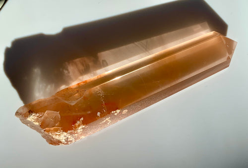 Rare Rabbit Rutile Point - Dragon Mama Crystals 