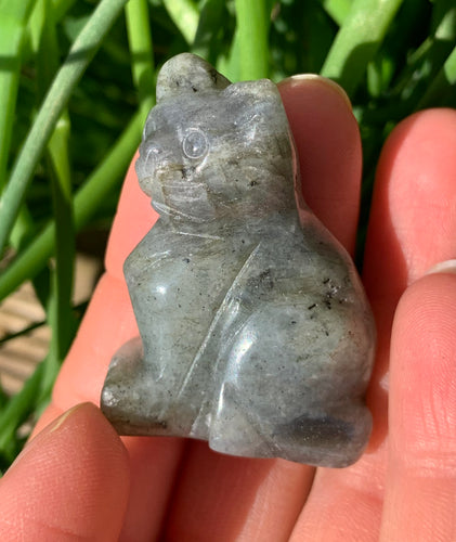 Labradorite Cat - Dragon Mama Crystals 
