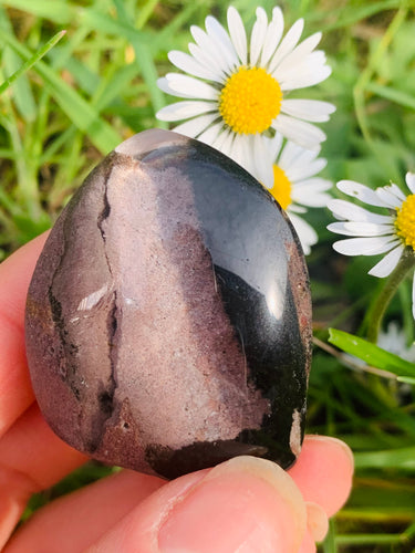 Lodolite Lens Brazil A Grade 05 - Dragon Mama Crystals 