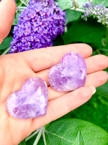 Amethyst Crystal Hearts - Dragon Mama Crystals 