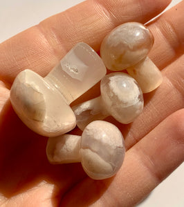 Flower Agate Mushroom - Dragon Mama Crystals 