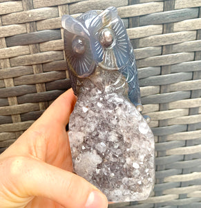 Druzy Agate Crystal Wise Owl - Dragon Mama Crystals 