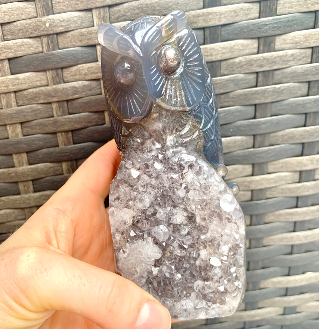 Druzy Agate Crystal Wise Owl - Dragon Mama Crystals 