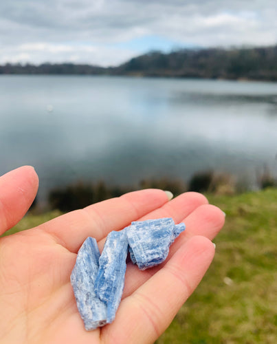 Blue Kyanite Raw - Dragon Mama Crystals 
