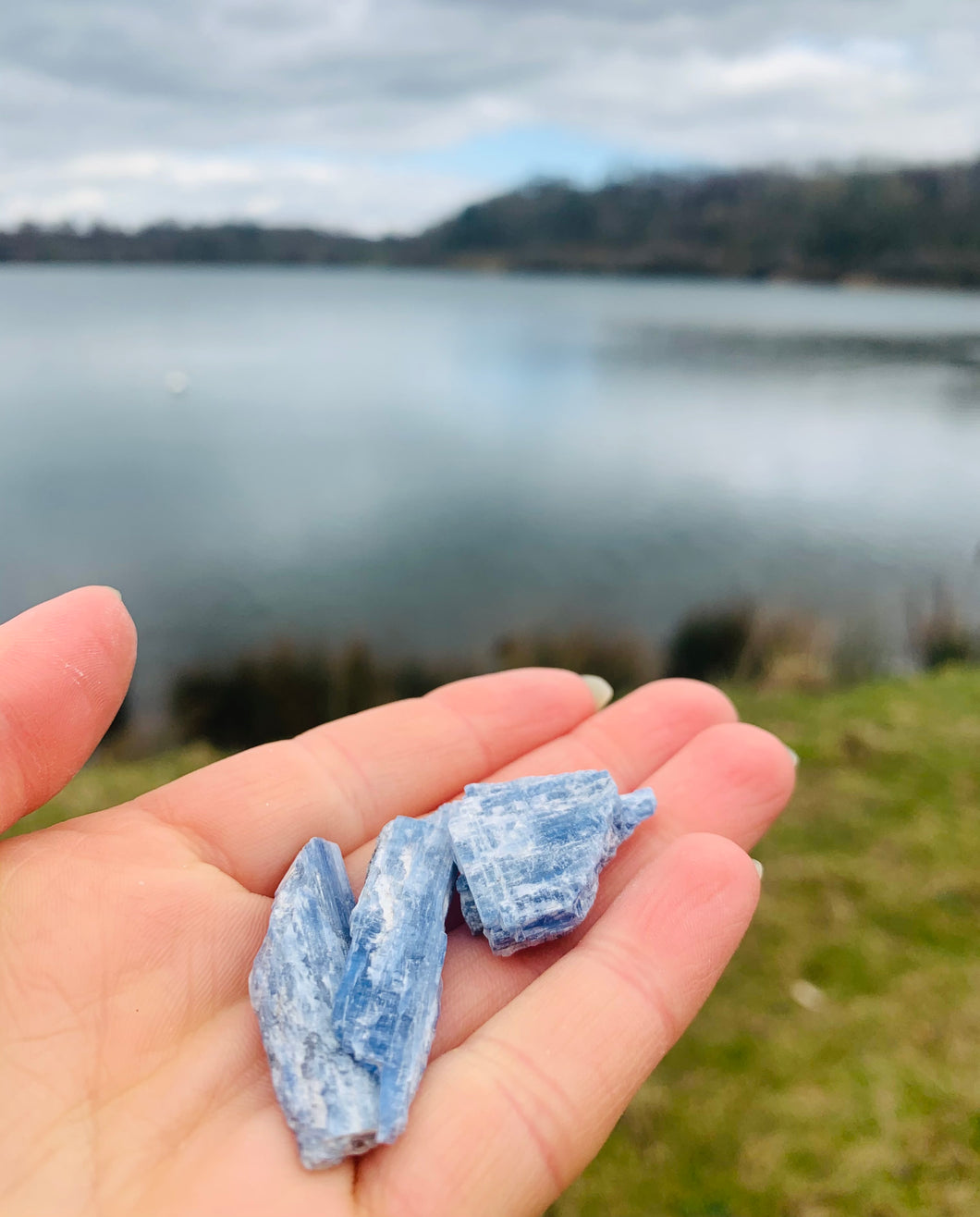 Blue Kyanite Raw - Dragon Mama Crystals 