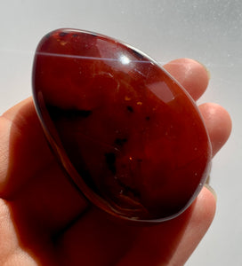Carnelian PalmStone - Dragon Mama Crystals 