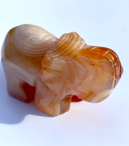 Carnelian Elephant - Dragon Mama Crystals 