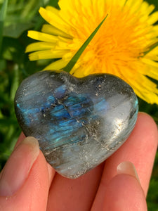 Labradorite Heart 03 - Dragon Mama Crystals 