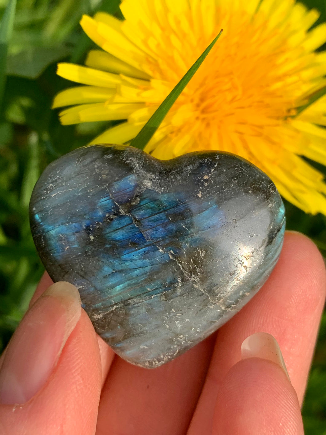 Labradorite Heart 03 - Dragon Mama Crystals 