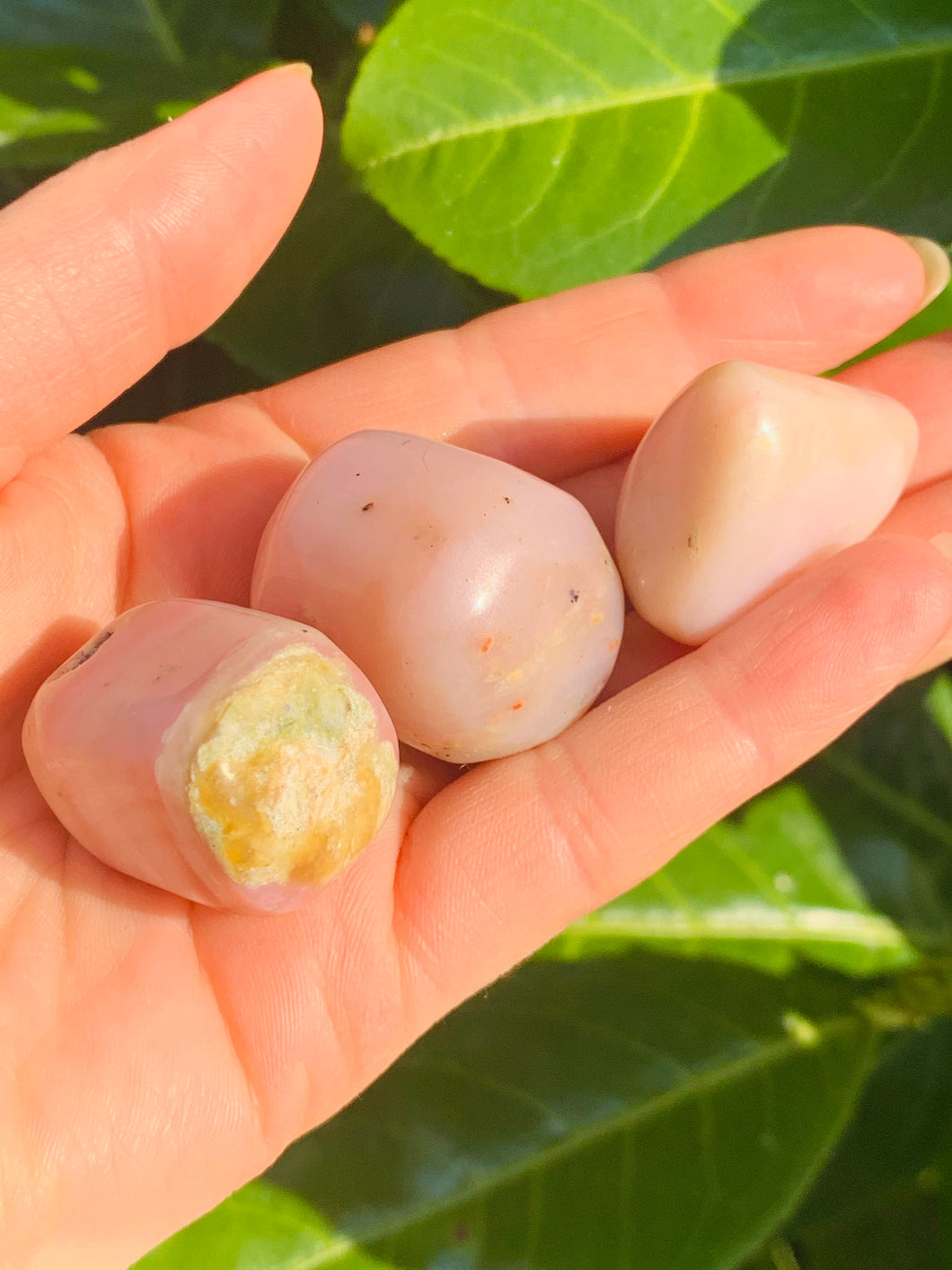 Pink Opal Tumble Stones High Quality - Dragon Mama Crystals 