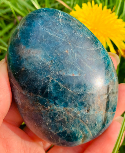 Apatite Palm Stone - Dragon Mama Crystals 