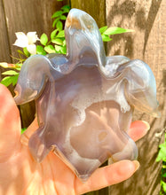 Load image into Gallery viewer, Crystal Agate Druzy Turtles - Dragon Mama Crystals 