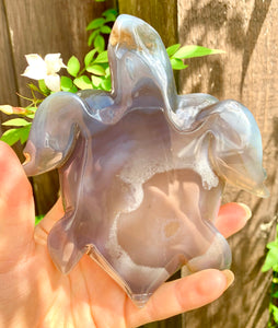 Crystal Agate Druzy Turtles - Dragon Mama Crystals 