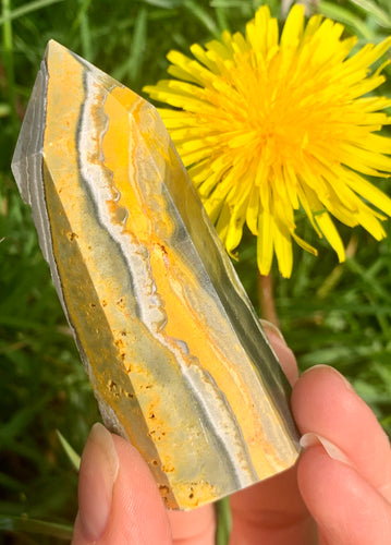 Bumble Bee Jasper Tower - Dragon Mama Crystals 