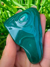 Load image into Gallery viewer, Malachite Freeform - Dragon Mama Crystals 