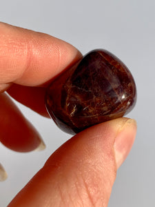 Garnet Gomed Tumble Stones - Dragon Mama Crystals 