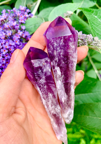 Amethyst Elestial - Dragon Mama Crystals 