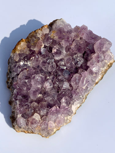 Amethyst Raw - Dragon Mama Crystals 