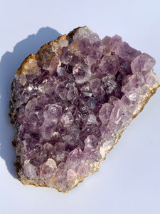 Amethyst Raw - Dragon Mama Crystals 