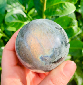 Labradorite High Grade - Sunshine Yellow - Golden Ray 5 - Dragon Mama Crystals 