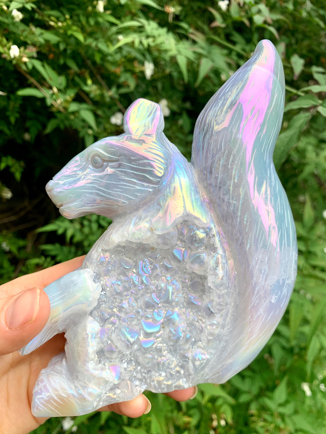 Aura Agate Squirrel - Dragon Mama Crystals 