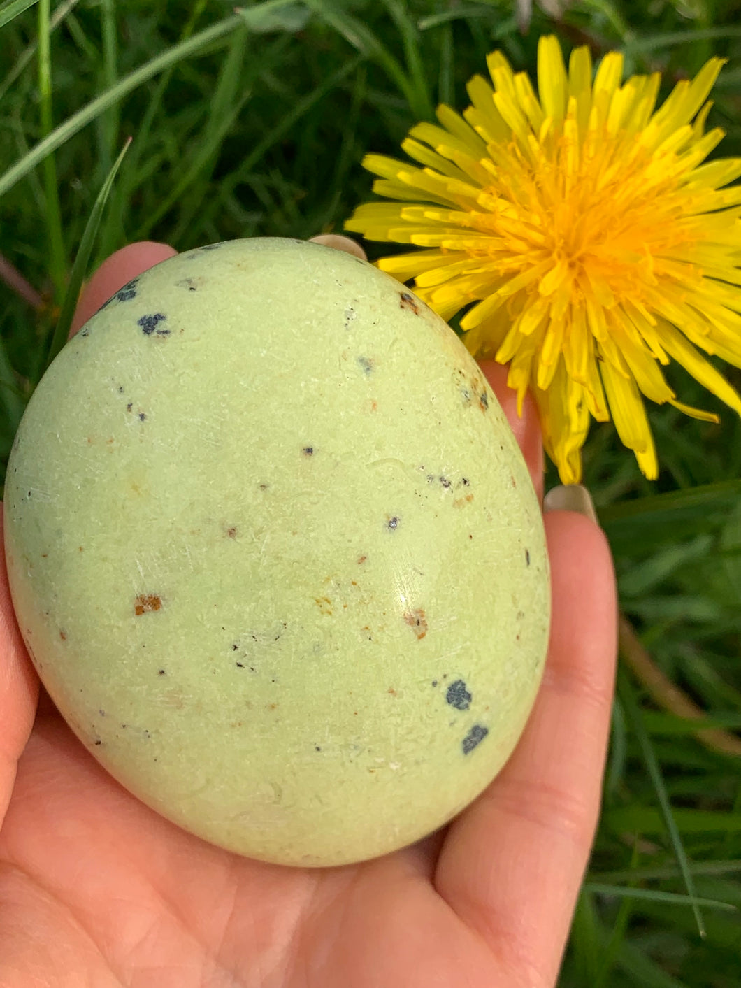 Green Opal PalmStone - Dragon Mama Crystals 