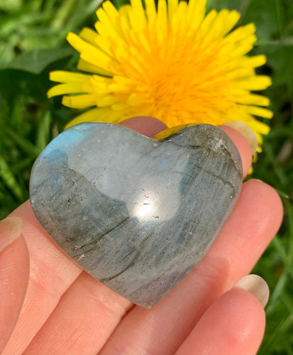 Labradorite Heart 07 - Dragon Mama Crystals 