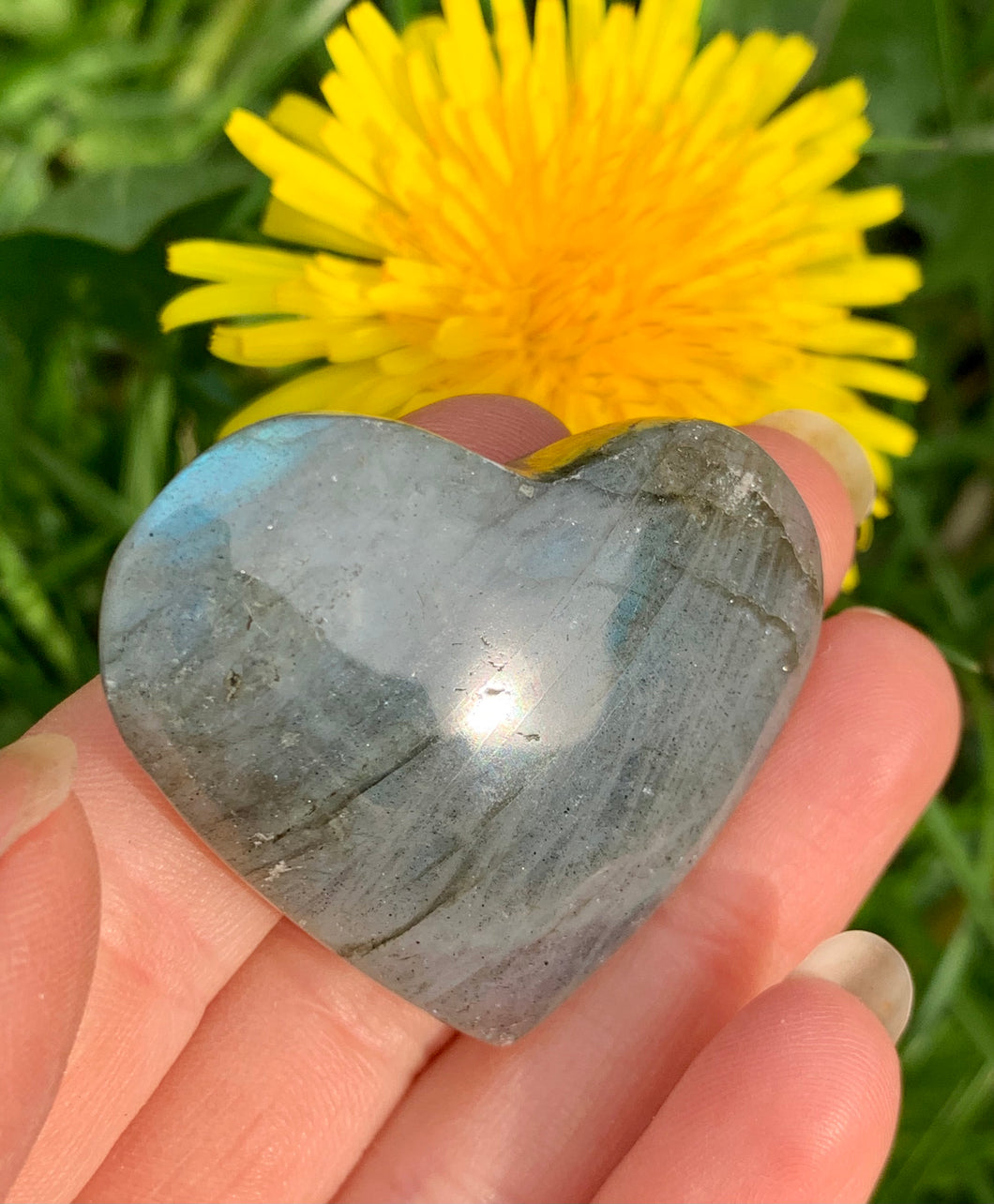 Labradorite Heart 07 - Dragon Mama Crystals 